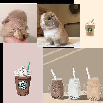 Tan collage
