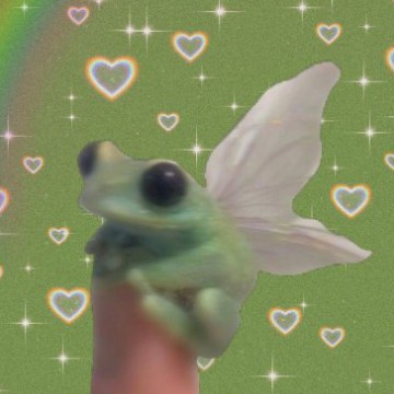 butterfly frog