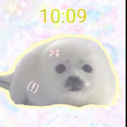 kawaii seal