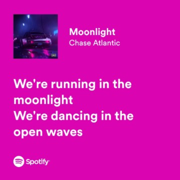 moonlight