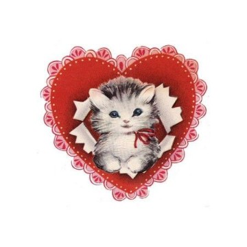 cat  :3