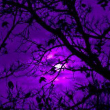 purple moon Copy