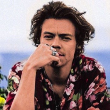 harry styles Copy