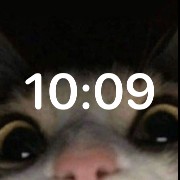 cat widget 