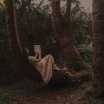 tree widget