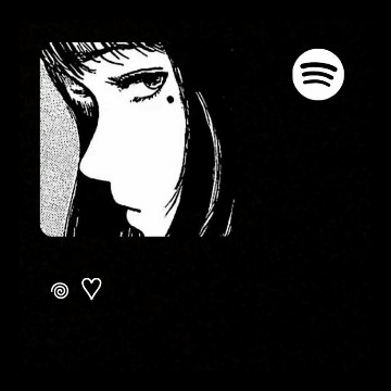 spotify widget
