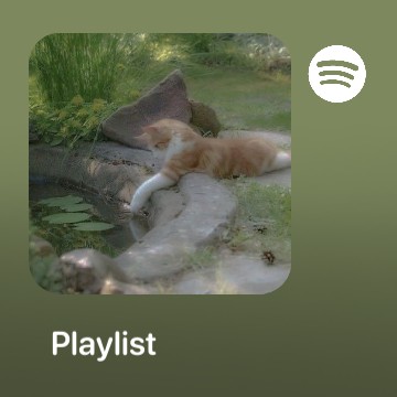 Spotify IOS Widget