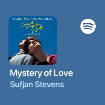 Spotify Sufjan Stevens