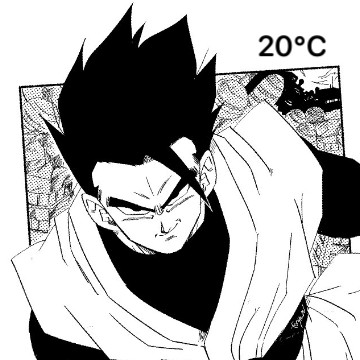 gohan