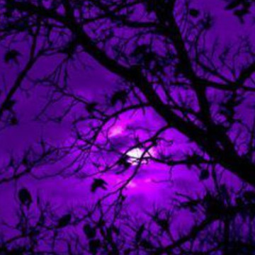 purple moon