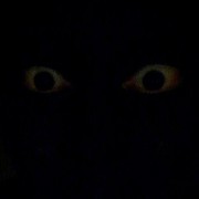 eye