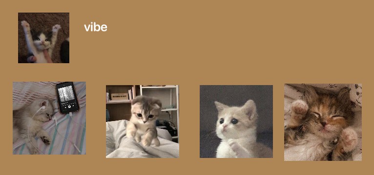widget cats