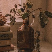 Aesthetic
