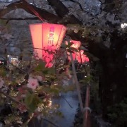 night in japan