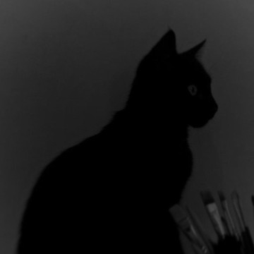 black cat