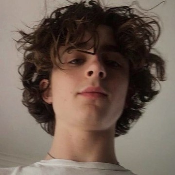 timothee chalamet