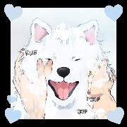 Widget Litc.