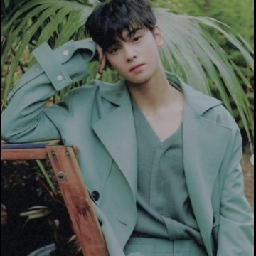 cha eun woo