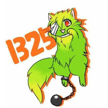1325 nam baka anime