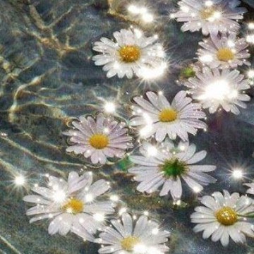 flower.shiny.water