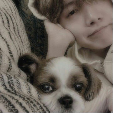 Hobi puppy
