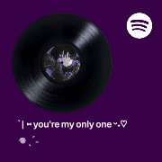  Spotify Widget Copy