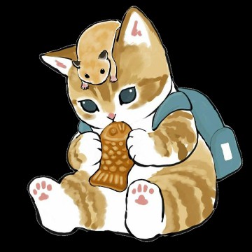 cat aesthetic