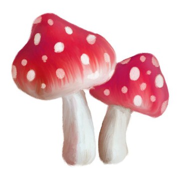 mushrooms 