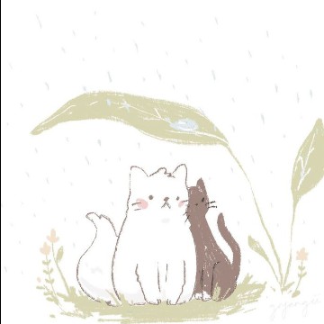 cat widget