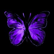 Violeta mariposa