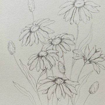 flower sketches