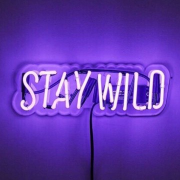 Stay Wild