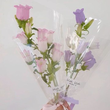 purple & pink flowers