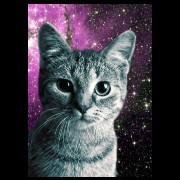 galaxy cat 2/2