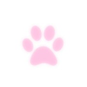 paw