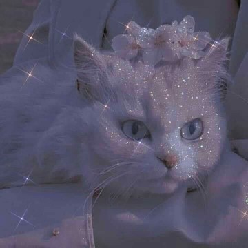 blue cat