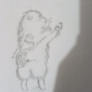 Pipoca 