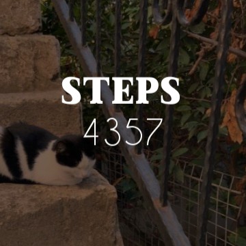steps