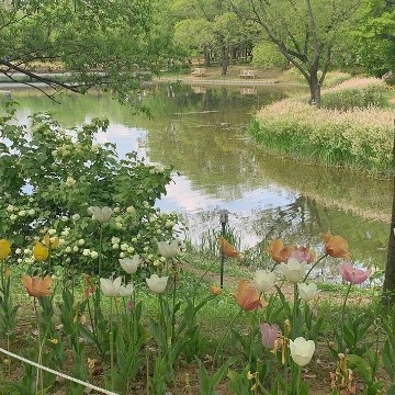 river flowers