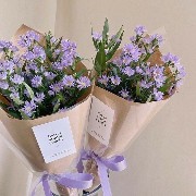 lavender flower