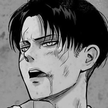levi