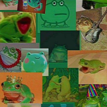 Frogs