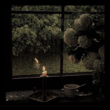 Rainy aesthetic
