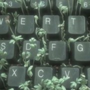 keyboard green Copy