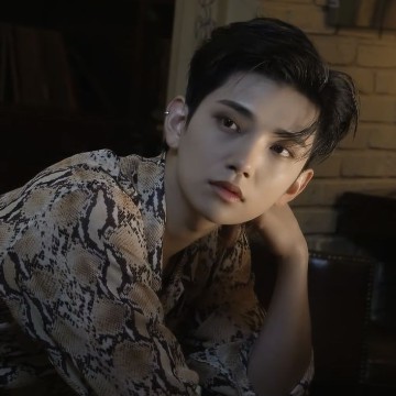 svt joshua