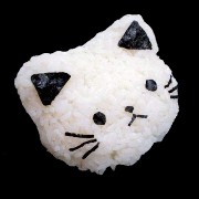 sushi cat png