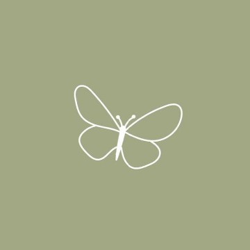 Green Butterfly 