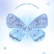 beautiful butterfly