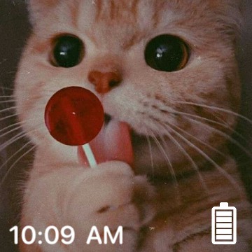 hora de gatito