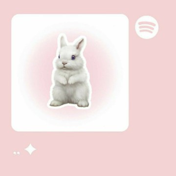spotify bunny